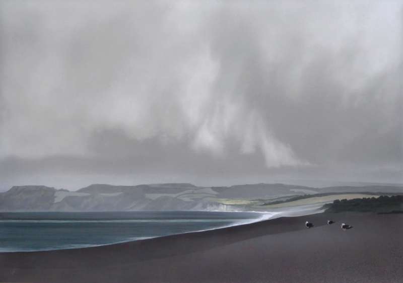 Gulls on Chesil Beach